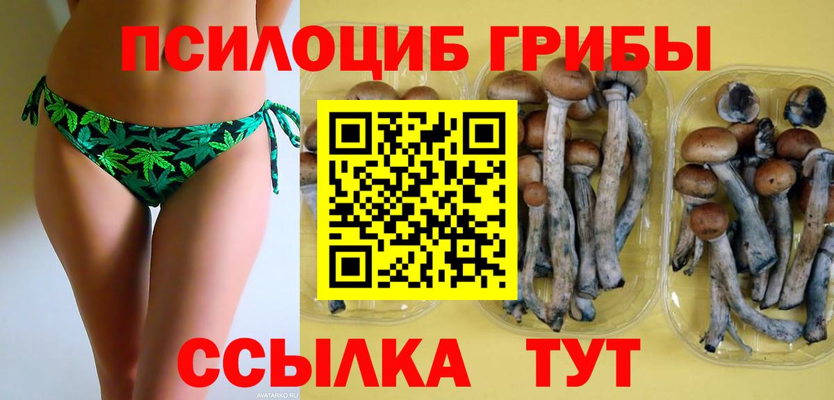 Галлюциногенные грибы MAGIC MUSHROOMS  Вход с VPN  Можга  Галлюциногенные грибы GOLDEN TEACHER 