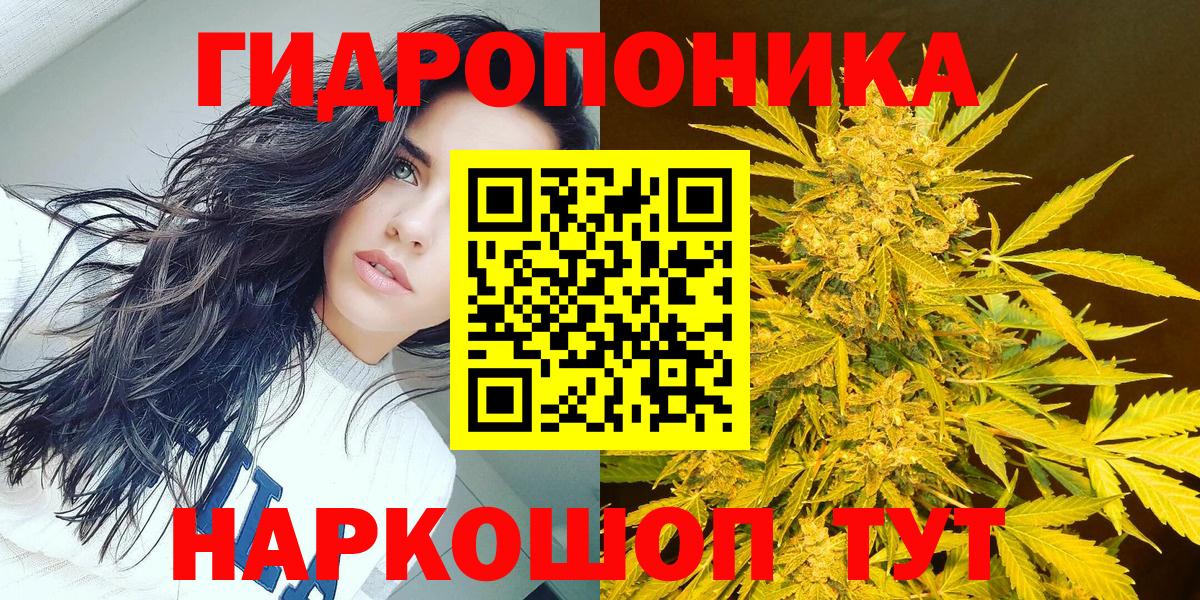 Конопля LSD WEED  Вход с VPN  Шишки марихуана SATIVA & INDICA  Можга  Шишки марихуана конопля 